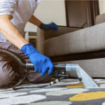 Steam Carpet Cleaning