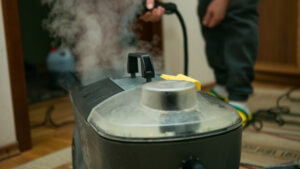 Steam Carpet Cleaning