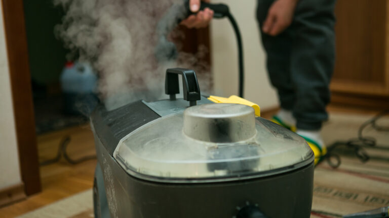 Steam Carpet Cleaning