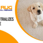 What Neutralizes Dog Urine